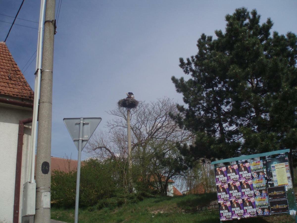 "U Capa" Krasny Apartman V Sedleci Sedlec  Exteriör bild